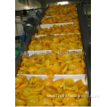 industrial pineapple juice/pulp processing machines